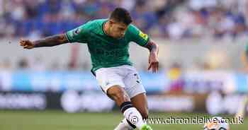 Newcastle United 2-1 Brighton LIVE: Updates as Anderson scores two late goals to seal win for Magpies