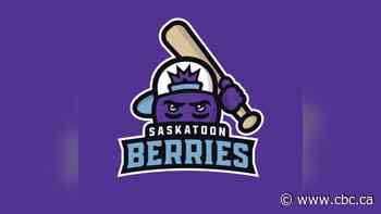 Saskatoon Berries baseball team logo is a dream come true for graphic designer