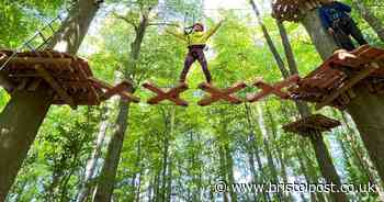First look at TreeTops, Bristol's first high ropes adventure attraction