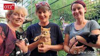 Was Jenaer Tierschützer erleben: Nehmt mein Tier, oder ich lasse es einschläfern!