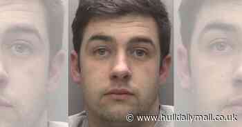 Panicking dangerous driver bitten by police dog after jumping out of a moving car in Hull