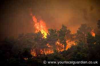 What to do in a forest fire as Spain updates travel advice