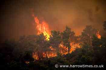 What to do in a forest fire as Spain updates travel advice
