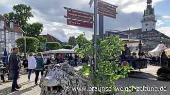 Edle Tropfen und buntes Programm beim Weinfest in Wolfenbüttel
