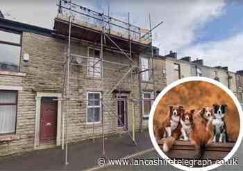 Four dogs and owner rescued from Darwen house fire