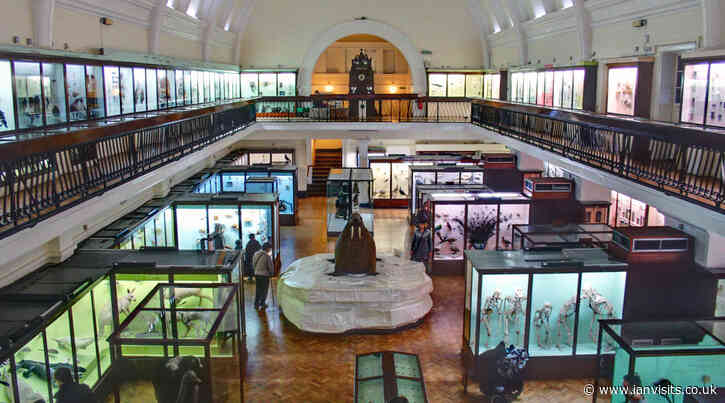Horniman Museum awarded £5.7 million towards major redevelopment project