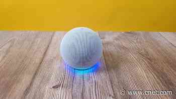 Amazon Echo Dot (5th Gen) Review: The Best Echo on a Budget     - CNET
