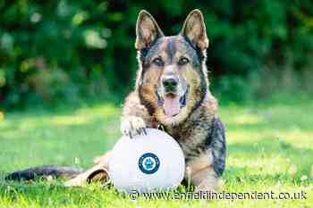 Britain's Got Talent police dog finalist Finn dies aged 14