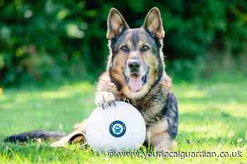 Britain's Got Talent police dog finalist Finn dies aged 14