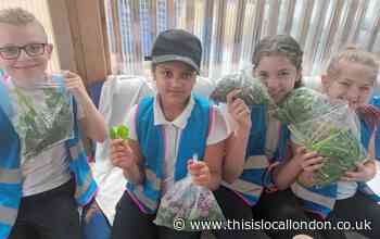 Free children's holiday activities in Barking and Dagenham