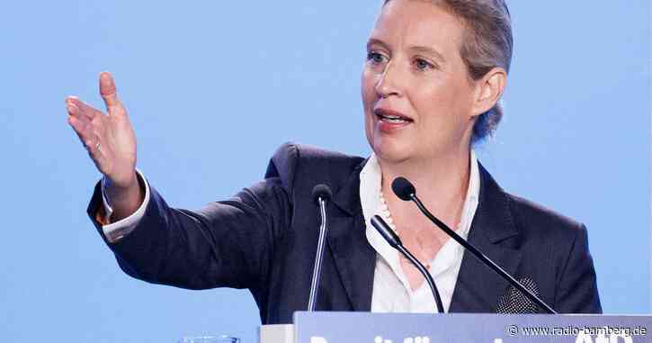 Weidel will mit Partnern «Festung Europa» bauen
