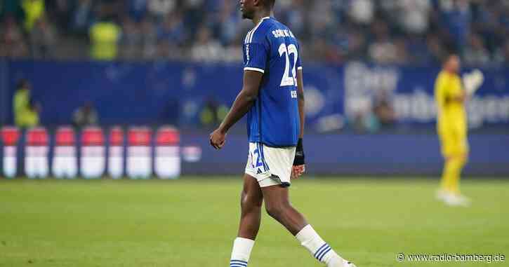 Schalke und HSV stellen sich nach Beleidigungen vor Cissé