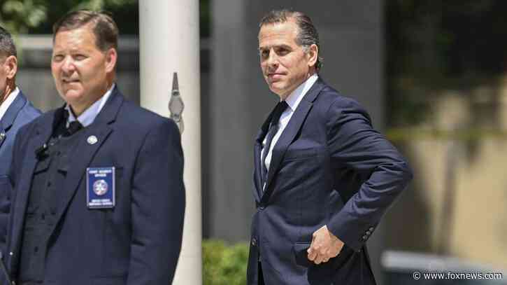 Senator calls for probe after one of Hunter Biden’s lawyers allegedly lied about her identity