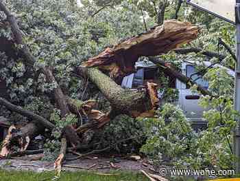 Storm aftermath; damage and outages after severe thunderstorms pass
