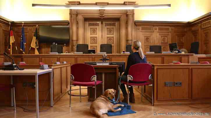 Sexueller Missbrauch: So hilft Hündin Leia Kindern bei  Aussagen vor Gericht