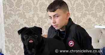 Police appeal to find missing Northumberland 15-year-old who hasn't been seen for almost 24 hours