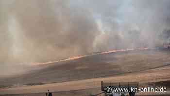 Waldbrände in Griechenland: Feuer auf Peloponnes – mehrere Dörfer evakuiert