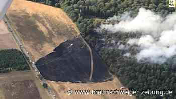 Ein Jahr nach dem Waldbrand Lauingen: Was hat sich getan?