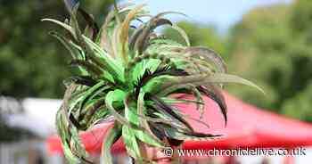 Hats how to do it! Ladies Day trendsetters raise the fashion stakes with headgear