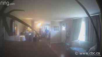 Drinking someone else's milk straight from the jug costs B.C. realtor $20,000