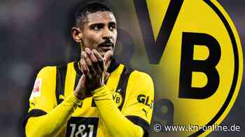 Sébastien Haller: Von der Hodenkrebs-Diagnose zum BVB-Top-Stürmer