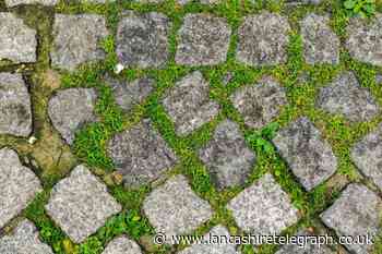 How to get rid of patio moss with this cheap 29p hack
