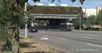 Man left in critical condition after stabbing on Surrey bus