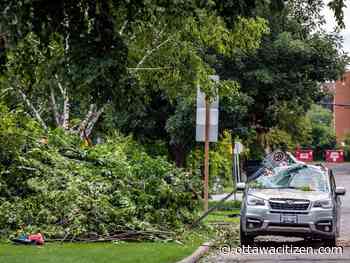In Ottawa's west end, hailstorm brought massive trees down on a car and house. Fortunately, people inside weren't hurt