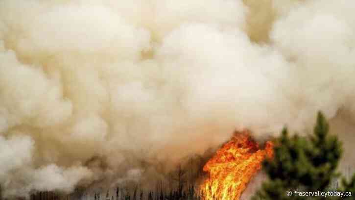 Firefighter killed while battling Donnie Creek wildfire in B.C.