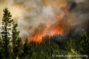 BREAKING: Firefighter dies battling B.C. wildfire; 2nd fatality this summer