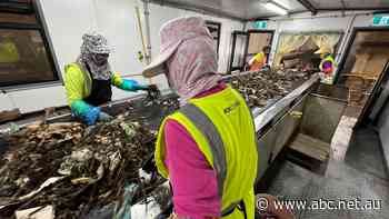'We are deadly serious': FOGO industry urges Australians to care about their food scraps as system 'overwhelmed'