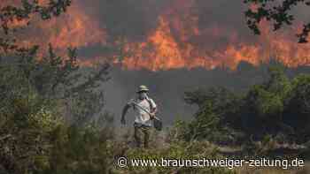 Waldbrände aktuell: Neue Feuer in Griechenland ausgebrochen