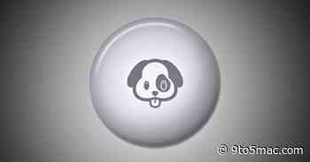 A serial burglar, a teddy bear, and an AirTag walk into a bar…