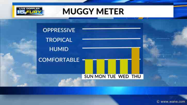 Quiet tonight with lower humidity