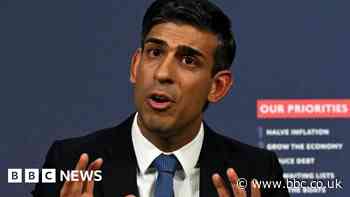 Environmental groups warn Rishi Sunak over green pledges