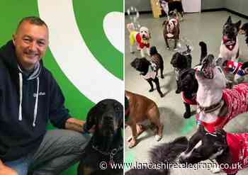 Dog daycare business needs new owner as founder retires