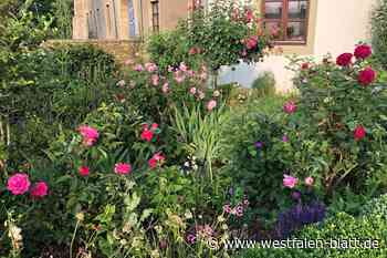 Rödinghausen: parkähnlicher Garten mit naturbelassenen Ecken