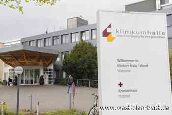 Halle: Von Volkes Stimme und politischer Eitelkeit