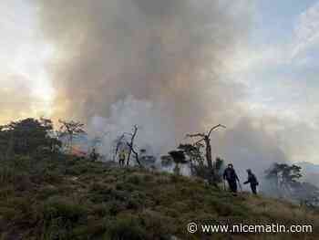 Le feu est fixé à Bairols, un "point chaud" détecté dans la nuit reste à traiter