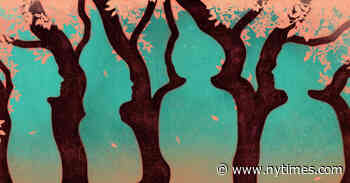 Book Review: ‘Tom Lake,’ by Ann Patchett