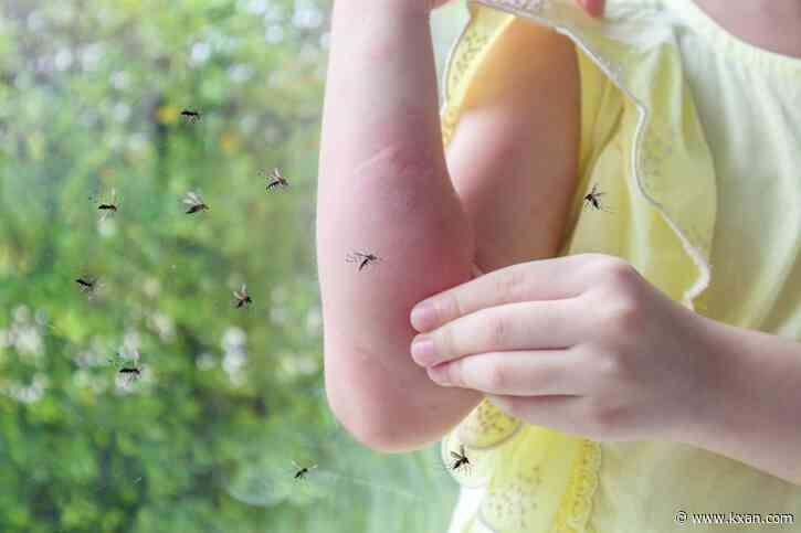 Ouch! Texas ranks Top 10 mosquito-infested states
