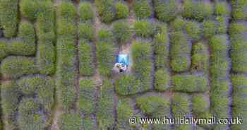 Incredible pics show Yorkshire's best-smelling visitor attraction