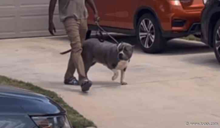 Texas boy airlifted after gruesome pit bull attack, authorities say