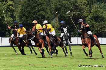 Rasanter Pferdesport in entspannter Atmosphäre