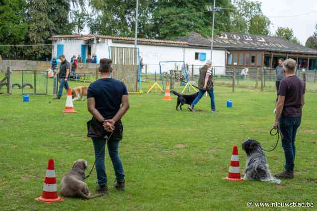 Ongerustheid bij hondenschool Hoba na officiële opening Park Groot Schijn: “Nieuwe terreinen zijn onbruikbaar en verder weten we van niets”