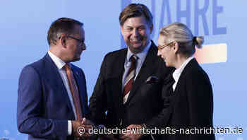 EU-Wahl: AfD will aus Europa eine Festung machen