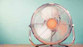 There's an Ideal Place for Your Fan to Stay Cool in These Extreme Summer Temps     - CNET