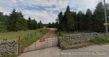 10 beautiful Northumberland woodlands that are up for sale and can be yours for as little as £21,000