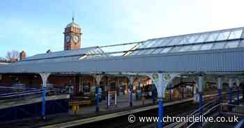 Nexus enlists contractor to kill pigeons in Whitley Bay Metro station refurbishment