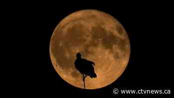 Two supermoons in August mean double the stargazing fun